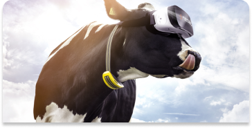 Novigado en Brutara Teknologio